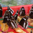 Butterfly 105