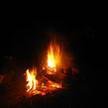 Fire 69