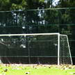 goal 224 goal 224