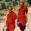 Little Monk 415 Little Monk 415