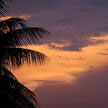 Sunset 137