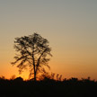 Sunset 506 Sunset 506