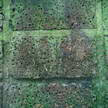 Texture 430 Texture 430