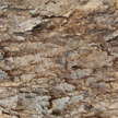 Tree Bark 403 Tree Bark 403