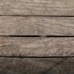 Wood Texture 478 Wood Texture 478