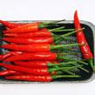 Chillies 753 Chillies 753