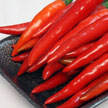 Chillies 755 Chillies 755