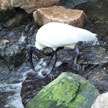 Egret 793