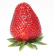 Strawberry 718 Strawberry 718