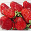 Strawberry 726 Strawberry 726
