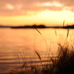 Sunset 713