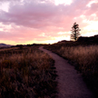 Sunset 768 Sunset 768