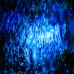 Texture 827 Texture 827