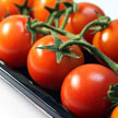 Tomato 798