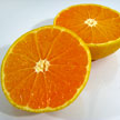 Orange 590