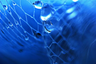 waterdrops and net 390