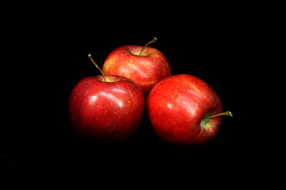 Apple 851 Apple 851