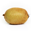 Kiwi Fruit 966