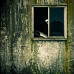 Old window 982