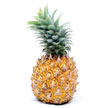 Pineapple 892