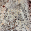 Rock Texture 930